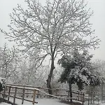 La Corte Del Gavi Bosio