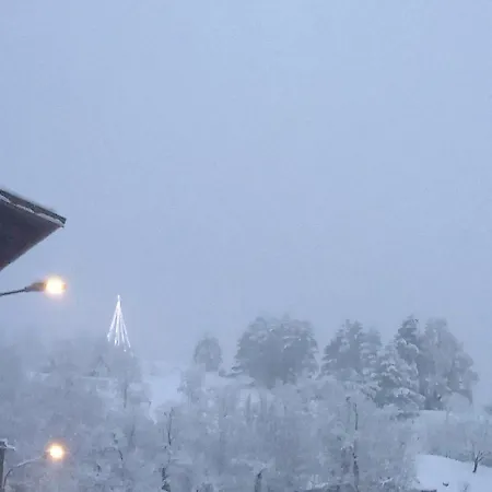 La Corte Del Gavi * Bosio