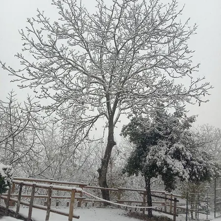 La Corte Del Gavi Bosio