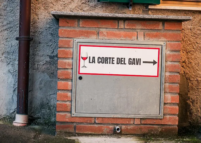 La Corte Del Gavi